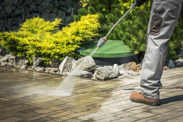 Best Spring Cleaning  in Ashford, AL